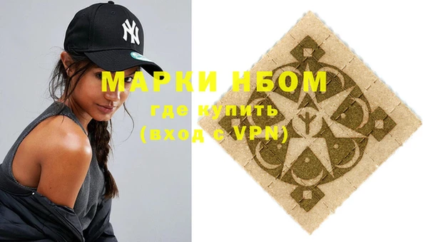 крисы Щигры