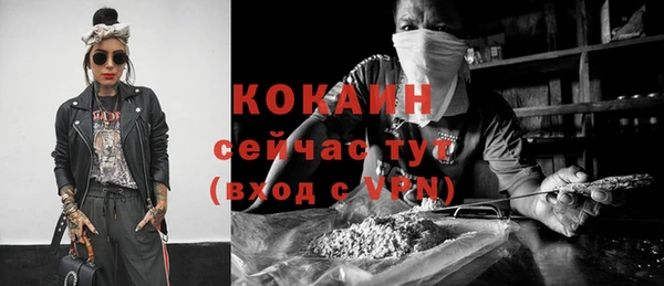 прущие грибы Карталы