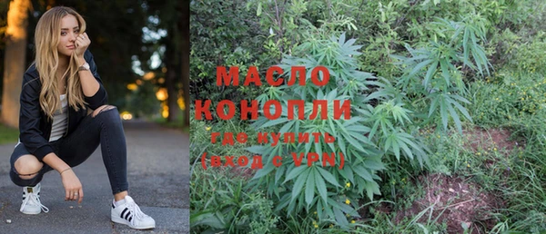 дмт Каменка
