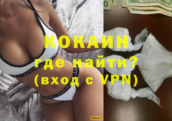 дмт Каменка