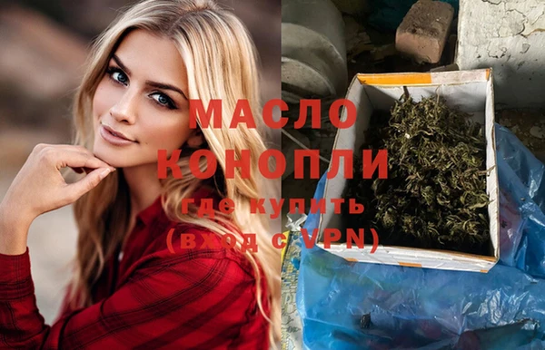 дмт Каменка