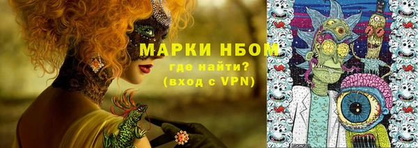 дмт Каменка