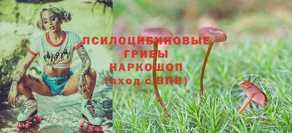 синтетический гашиш Касимов