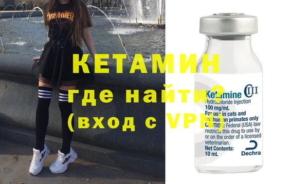 крисы Щигры