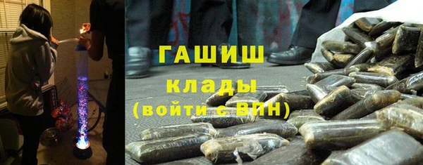 дмт Каменка