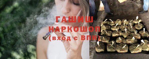 дмт Каменка