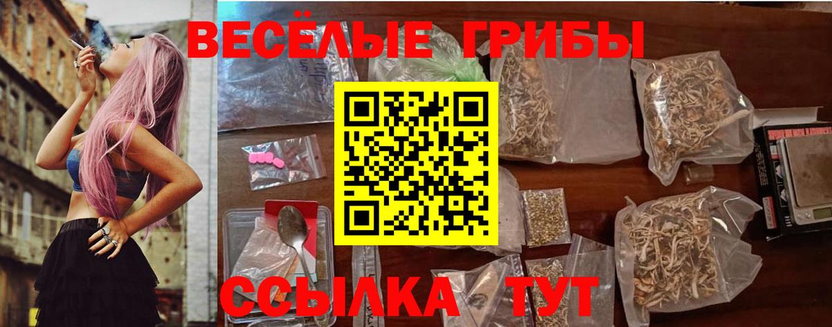 Псилоцибиновые грибы GOLDEN TEACHER  Псилоцибиновые грибы прущие грибы  Новосибирск  Вход с VPN 