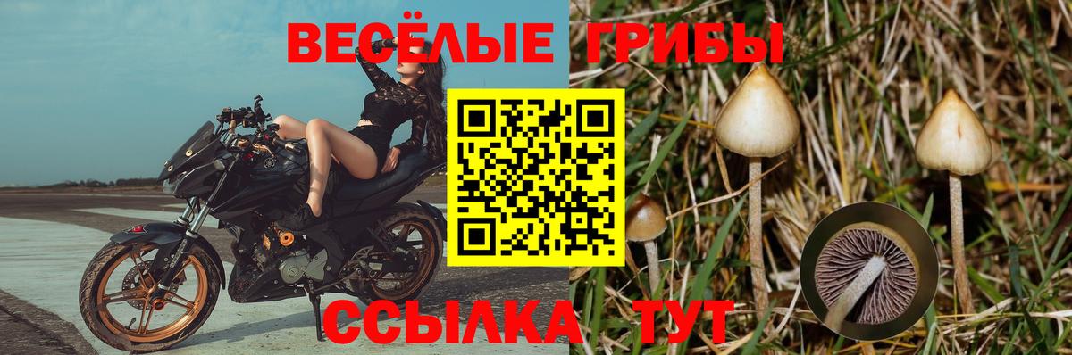 Псилоцибиновые грибы MAGIC MUSHROOMS Новосибирск