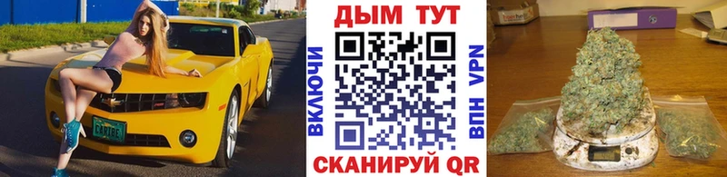 Шишки марихуана планчик  как найти закладки  ОМГ ОМГ как зайти  Новосибирск 
